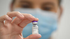 Em Campinas, vaga de emprego exige imunização com vacina da Pfizer