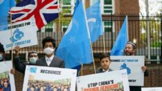 Legisladores internacionais pedem que ONU investigue genocídio uigur