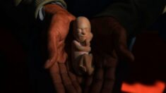 Planned Parenthood suspende abortos em município do Texas quando lei de ‘cidade santuário’ entra em vigor