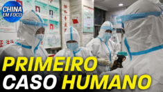 Cepa rara de gripe aviária infecta um humano pela primeira vez