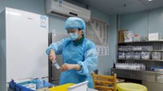 Primeiro possível caso de gripe aviária H10N3 em humanos relatado na China