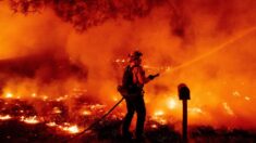 Incêndio nos EUA queima uma área três vezes maior do que São Francisco