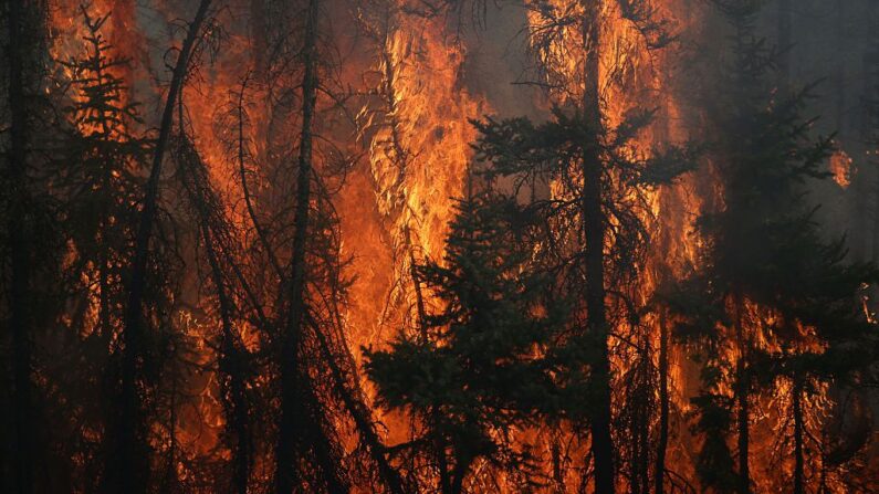 Centenas de incêndios no Canadá forçam a evacuação de milhares de pessoas