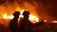 Grande incêndio na Califórnia causa evacuação de 8.000 pessoas
