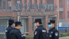 Especialistas em saúde: vírus do PCC ‘provavelmente teve origem’ no vazamento do laboratório de Wuhan