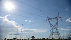 CPFL Energia oferta R$ 2,67 bilhões por CEEE-T e vence leilão