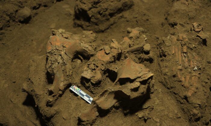 Descoberta de restos mortais de 7.000 anos desvenda alguns mistérios de grupo desconhecido de seres humanos