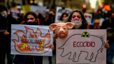 Argentinos rejeitam acordo com Pequim para implantação de fazendas de suínos