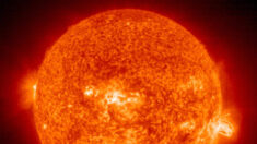 Sonda indiana Aditya-L1 para estudar o Sol chega ao destino final