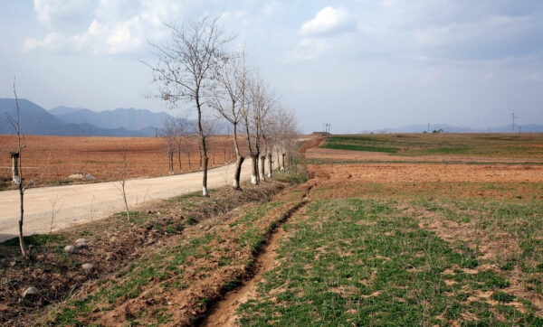 Fazendas coletivas na província Hwanghae do Norte, perto de Pyongyang, visto da estrada que vai entre Pyongyang e Kaesong, em 25 de abril de 2007 (AFP / AFP via Getty Images)