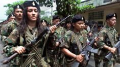 Remover rebeldes comunistas da lista de terroristas é ‘um erro grave’, adverte DeSantis