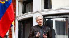 Vice-primeiro-ministro australiano pede suspensão da extradição de Assange, fundador do WikiLeaks