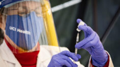 Holanda anuncia plano para aplicar até 6 doses da vacina contra COVID-19