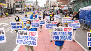 Próximo webinar: direitos humanos contra a comercialização de órgãos extraídos à força