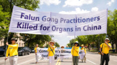 Crime de extração de órgãos em Pequim deve acabar, afirmam legisladores europeus