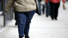 Células de gordura humana abrigam o vírus do PCC, com uma ‘resposta inflamatória drástica’, afirma estudo