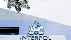 Interpol detém 216 pessoas em operação contra rede de contrabando de migrantes na América Latina