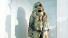 Múmia rara de 800 anos é encontrada no Peru com corpo amarrado e mãos cobrindo o rosto