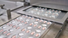 FDA autoriza pílula para COVID-19 da Pfizer semanas após acordo de US $ 5 bilhões com governo Biden