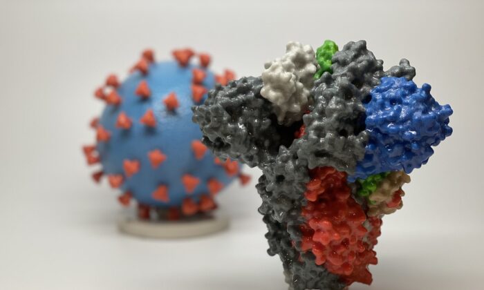 Células T de resfriados comuns fornecem proteção cruzada contra COVID-19, afirma estudo