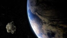 Asteroide ‘potencialmente perigoso’, passará pela Terra dia 18 de janeiro, eis o que você precisa saber