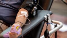 Cruz Vermelha Americana afirma que falta de sangue é a pior em mais de 10 anos
