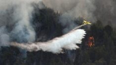 Chuvas aliviam incêndios em província argentina que pede ajuda internacional