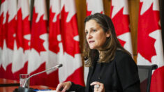 Canadá irá regulamentar plataformas de financiamento e criptomoedas sob Lei de Financiamento ao Terrorismo