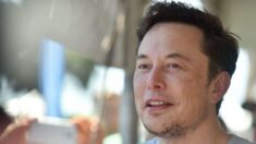 Elon Musk critica governo canadense e apoia comboio dos caminhoneiros