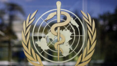 Por que o tratado de pandemia da OMS é um acordo terrível | Opinião
