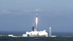 SpaceX lança 49 satélites Starlink em órbita