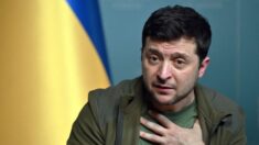 Zelensky: Ucrânia deve reconhecer que não se juntará à OTAN