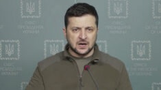 Zelensky descreve as demandas para negociações Ucrânia-Rússia