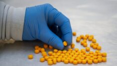 Da China para o México: produção de fentanil chega aos EUA