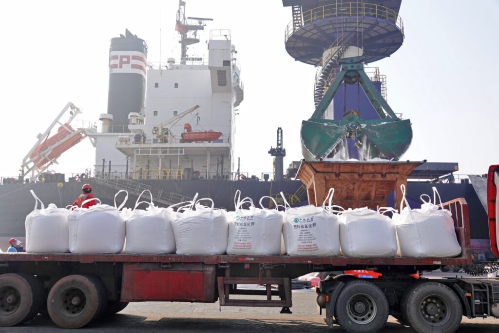 Trabalhadores carregam fertilizante de potássio importado da Bielorrússia pela estatal Sino-Agri de um navio em um porto em Yantai, na província de Shandong, na China, em 9 de março de 2022 (Tang Ke/Future Publishing via Getty Images)