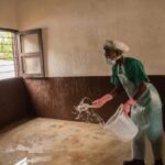 OMS: surto de varíola do macaco se espalhou para mais de 20 países