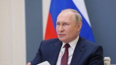 Putin diz que Rússia está pronta para ajudar a resolver crise alimentar se Ocidente suspender sanções