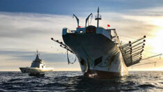 Armadas pesqueiras da China cercam economias e ecologias do Pacífico: líderes de ilhas