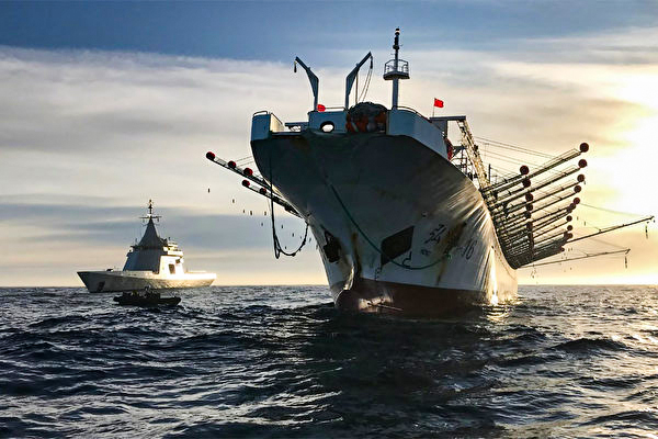 Um navio de pesca chinês opera ilegalmente na zona econômica exclusiva da Argentina em 4 de maio de 2020. A pesca ilegal da China em oceanos distantes está saqueando os recursos pesqueiros globais e destruindo os meios de subsistência tradicionais de muitos países (Assessoria de Imprensa da Marinha da Argentina/AFP via Getty Images)