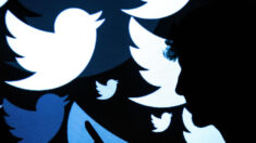 Twitter suspende ‘Mães pela liberdade’ por criticar ‘Predadores’ que apoiam o projeto de lei ‘Refúgio Trans’ da Califórnia