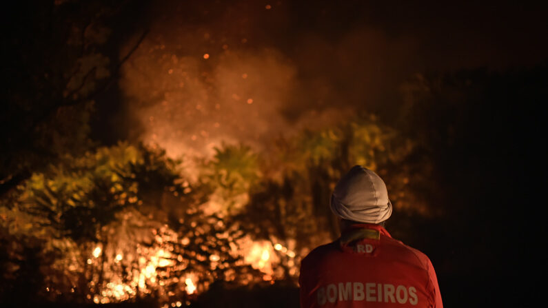 Imagem de arquivo de um bombeiro combatendo o incêndio em Portugal, que este verão incendiou 25% da maior área protegida do país (EFE/NUNO ANDRÉ FERREIRA)