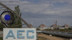 Após incêndio, usina nuclear é reconectada ao sistema elétrico da Ucrânia