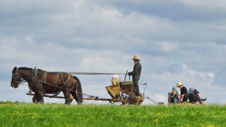 6 coisas que aprendi com os Amish