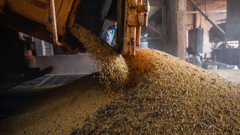 Colheita de soja, soja, grãos (© CNA/Wenderson Araujo/Trilux)