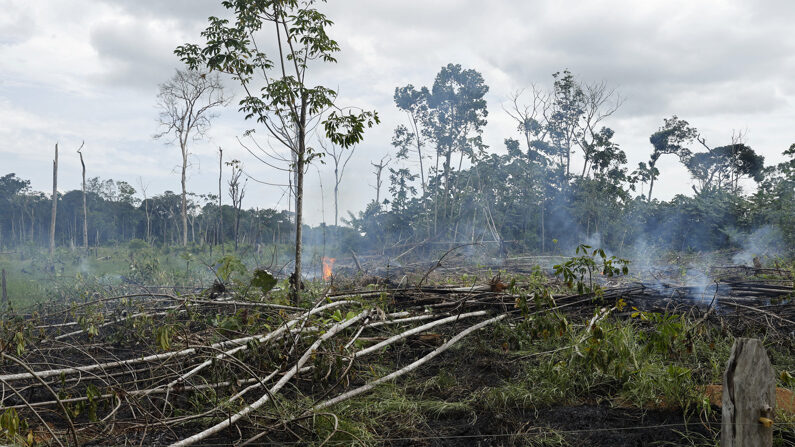 Fotografia de arquivo da floresta amazônica incinerada em San José del Guaviare (EFE/ Mauricio Dueñas Castañeda)