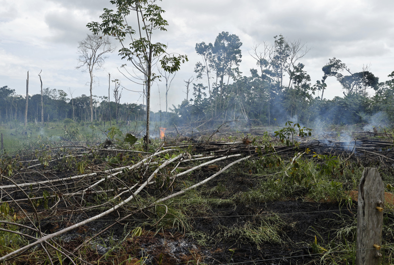 Venezuela é país com maior destruição de florestas na região amazônica, diz ONG