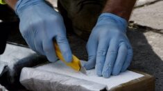 Veleiro que deixou o Brasil com quase 900 quilos de cocaína é apreendido no Senegal