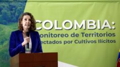 Cultivos de coca disparam na Colômbia com crescimento de 43% em 2021