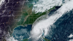 Especialista em furacões: aquecimento global não é a causa das tempestades