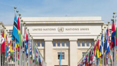 Nações Unidas agora afirmam ser “dona da ciência”